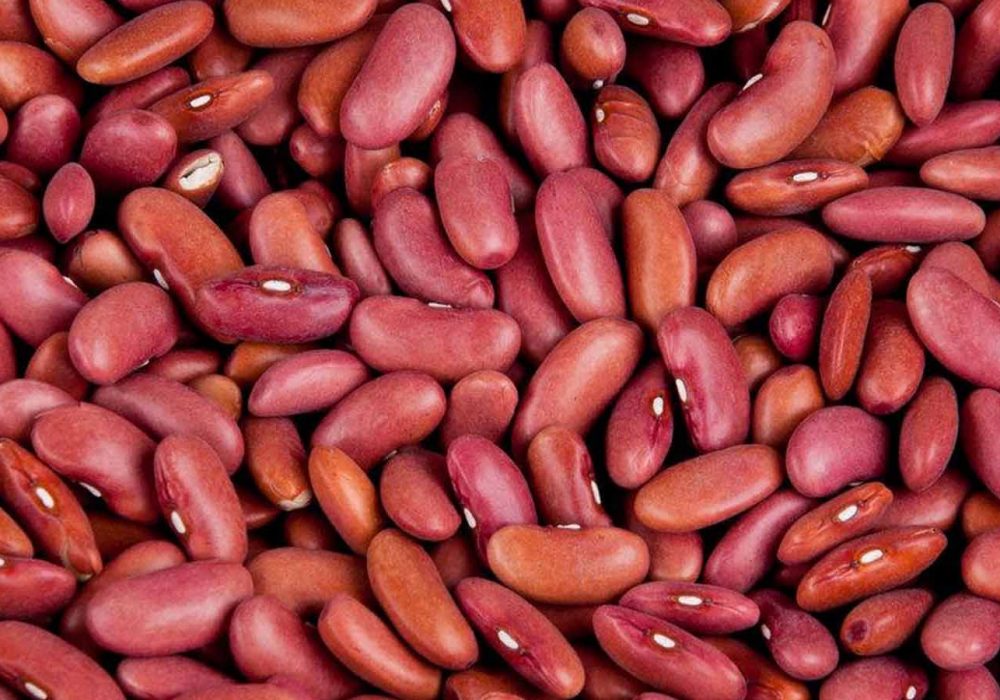 light red kidney beans